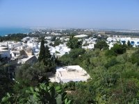 Тунис: фотографии