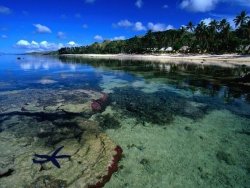 Фиджи - описание страны