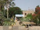 Асуанский Ботанический Сад (Aswan Botanical Gardens), Асуан