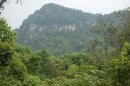     (Cuc Phuong National Park), 
