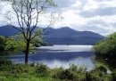   (The Lakes Of Killarney), 