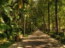 Парковая Аллея (Paseo del Parque), Малага