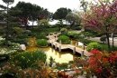   (Japanese Garden Monaco), 