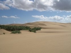 Песчаные дюны (Sand Dunes), Коро