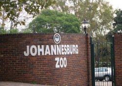 Зоопарк Йоханнесбурга (Johannesburg Zoo), Йоханнесбург