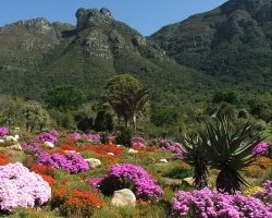 Национальные ботанические сады Кирстенбош (Kirstenbosch National Botanical Gardens), Кейптаун