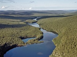    (National Park Lemmenjoki)